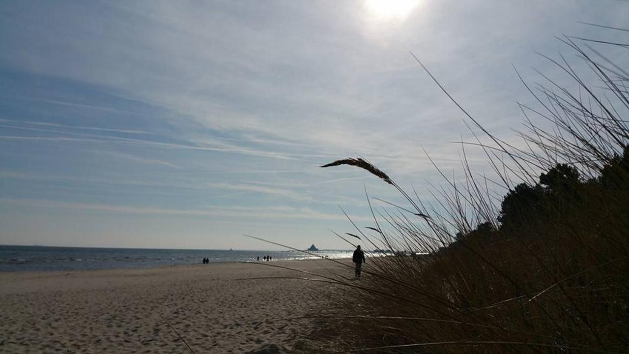 Villa _Duenen Vis A_ Vis_ _ Strand 제바트헤링스도르프 외부 사진